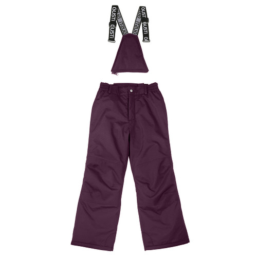 Regan -25F Snow Pants - Purple