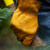 Bodacious Water Resistant Work Gloves