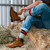 Outdoorsox Extra-Heavyweight Socks