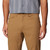 Hardwear AP Active Pant - Corozo Nut