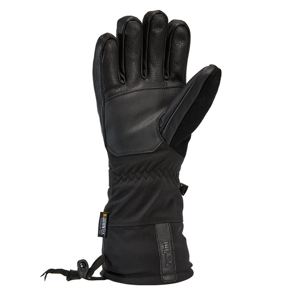 Polar Gloves