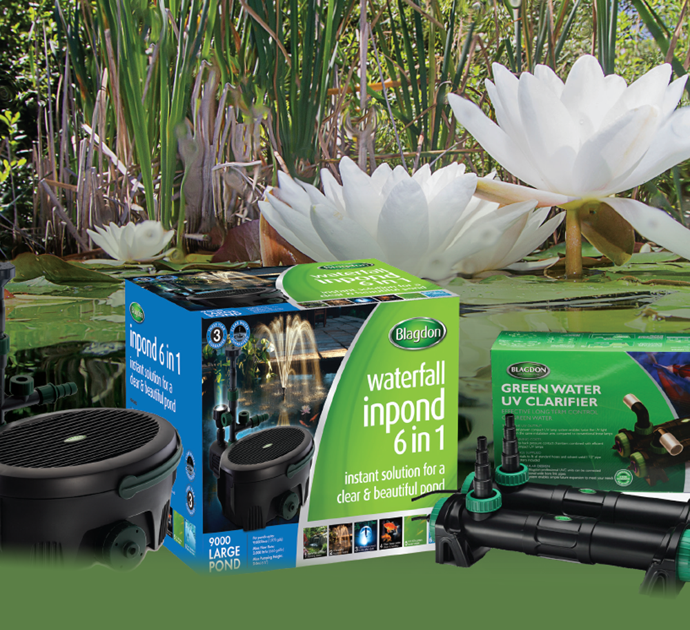 MEET BLAGDON - Masters of Pond Care