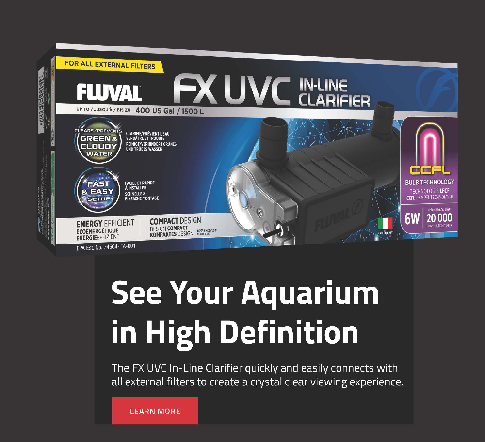 Fluval UVC In-Line Clarifiers: A Game Changer for Crystal Clear Aquariums