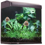 Aquatic Aqua One Aquarium Parts AquaStyle Series AquaStyle 620T