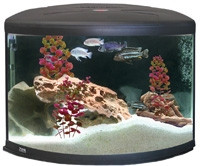 Aquatic Aqua One Aquarium Parts UFO Series UFO 550 Page 1 Aquarium Spare Parts