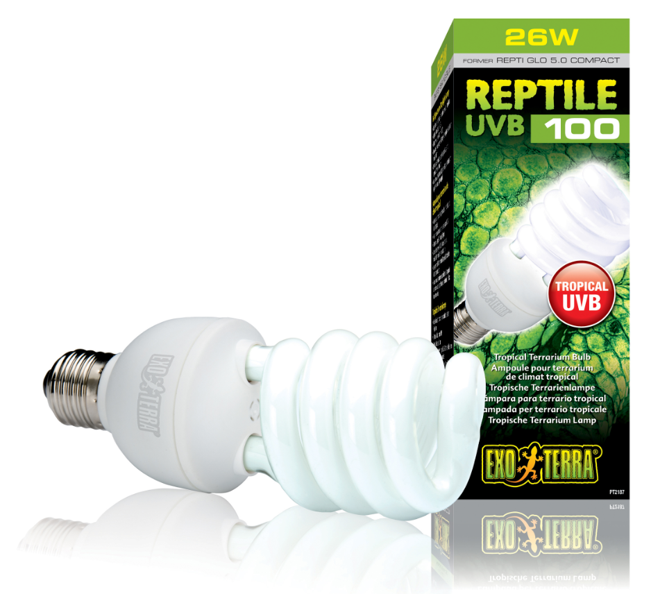 repti glo 5.0 compact