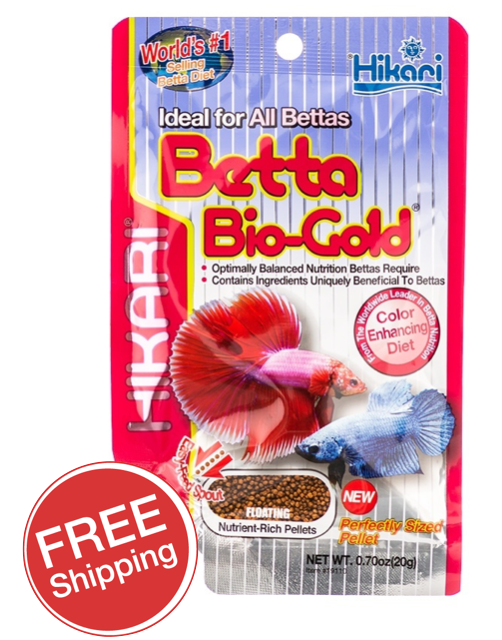 hikari betta