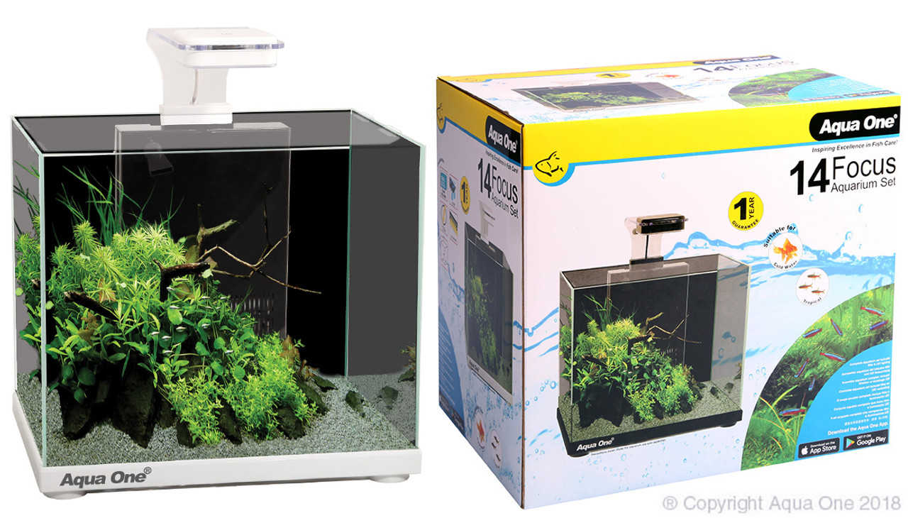 Aqua One Focus 14 LED Aquarium White (56221WH)