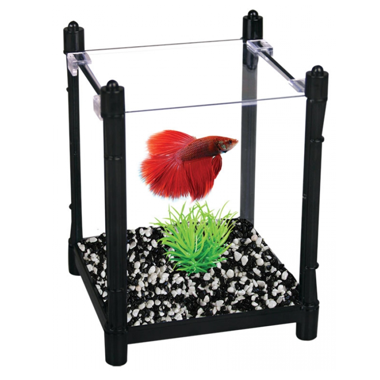 aqua one betta pellets