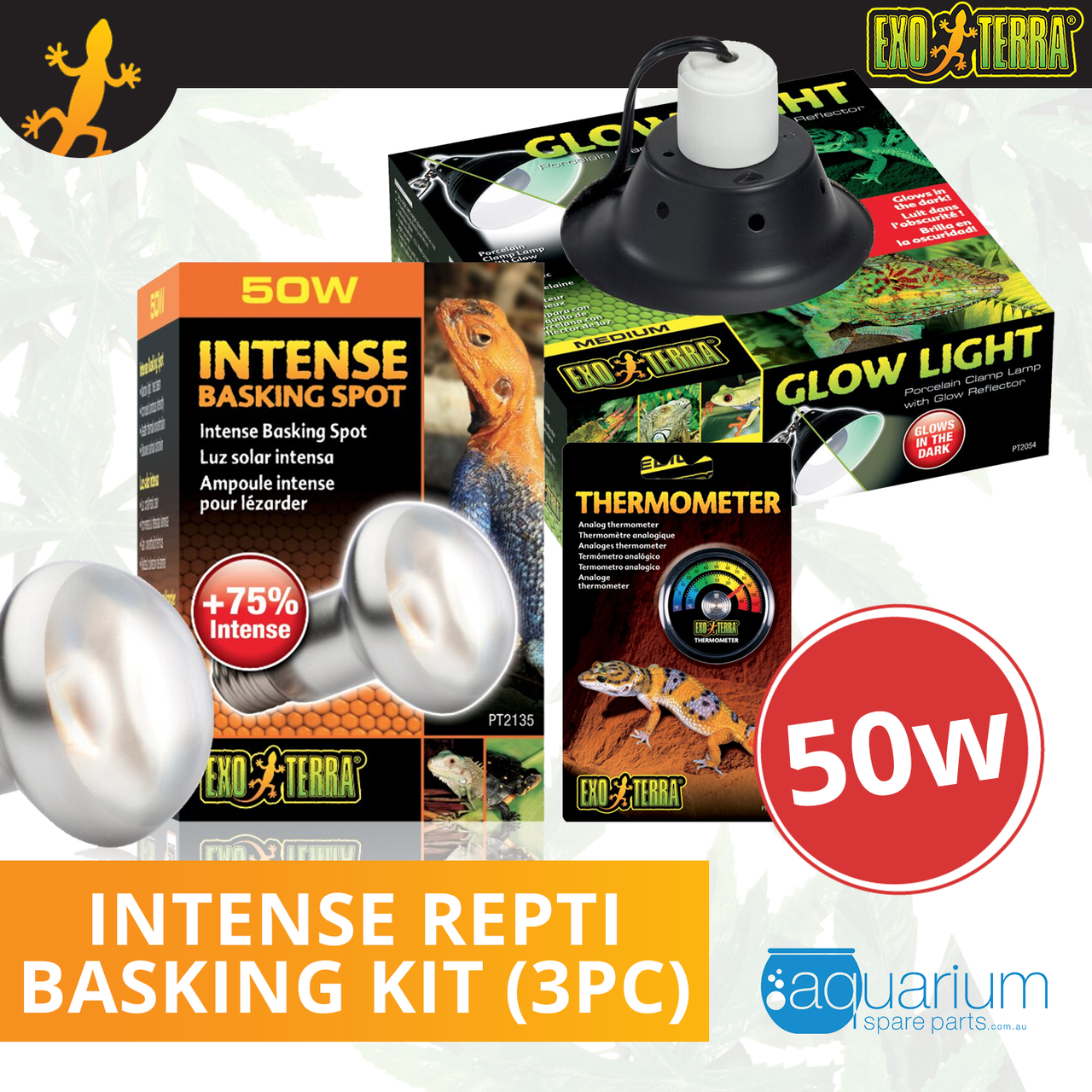 intense basking light