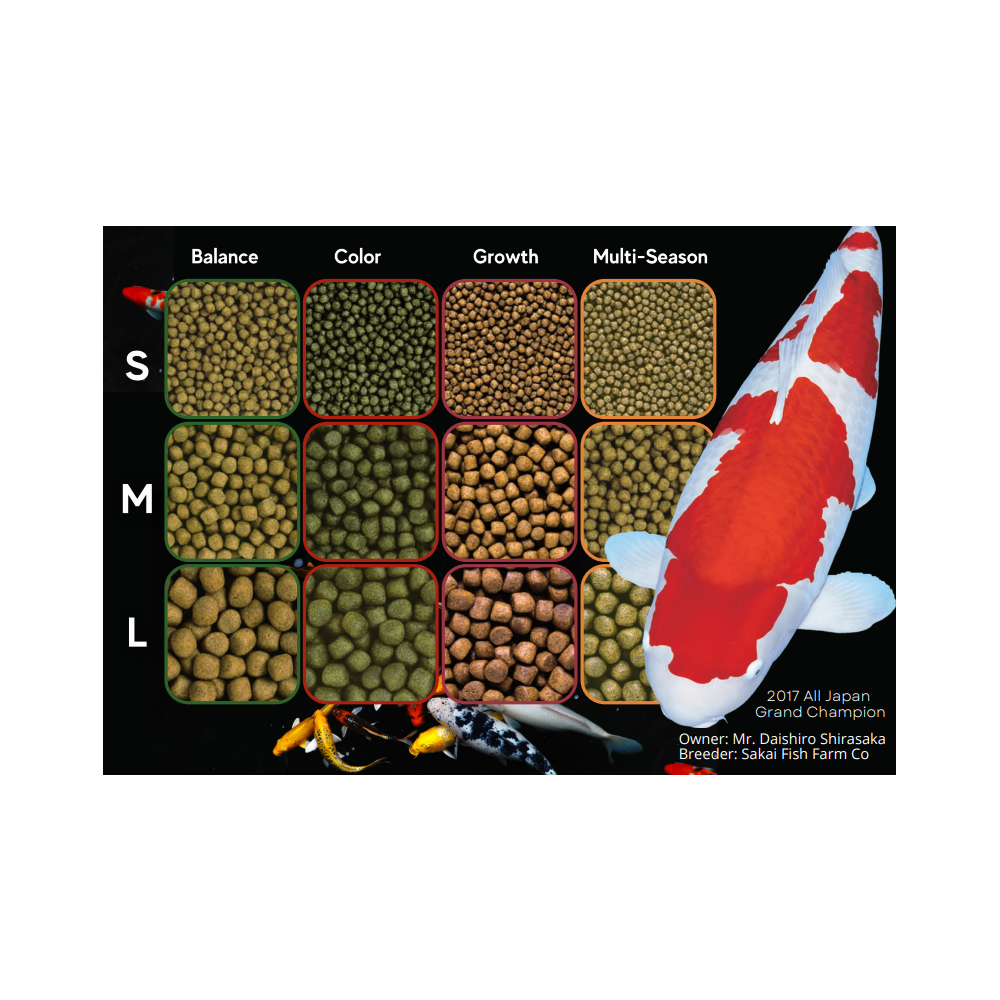 Bestel direct Saki Hikari Multi-Season 5 KG