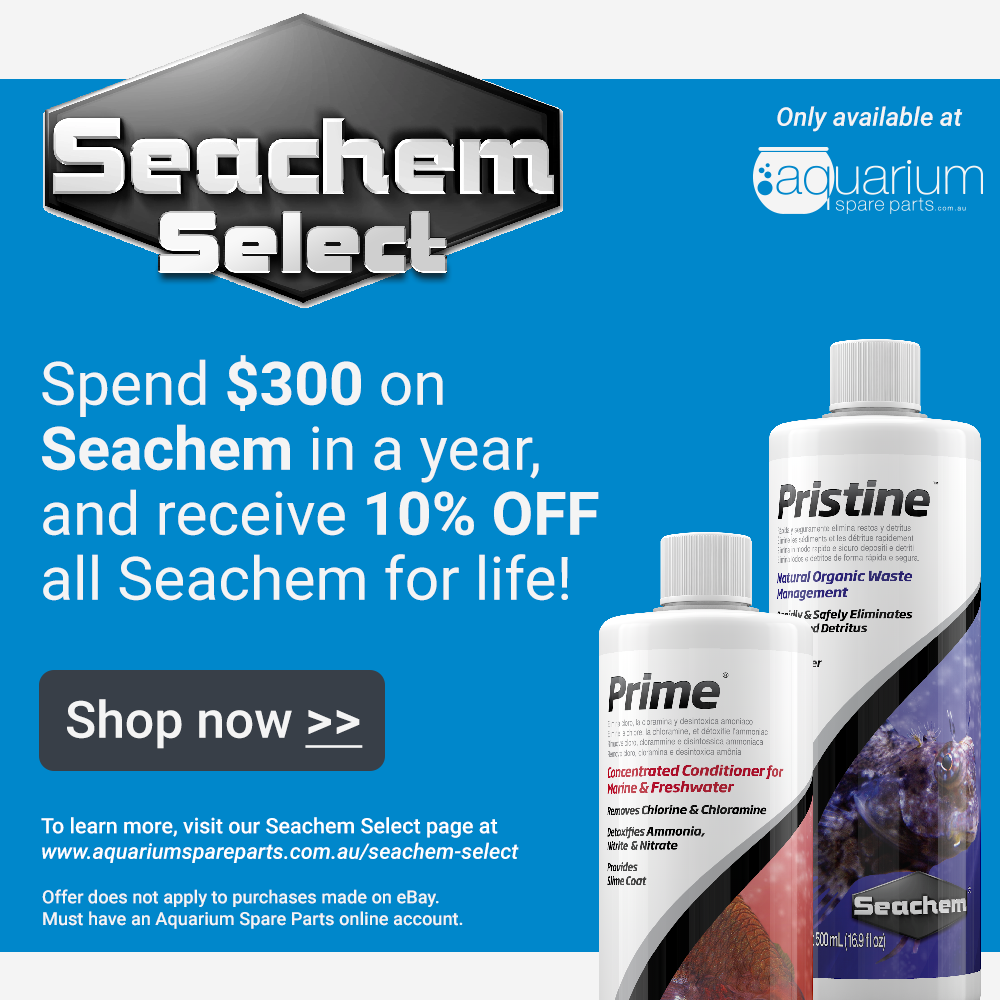 Seachem Tidal 55 Foam - 2 pk | Big Al's