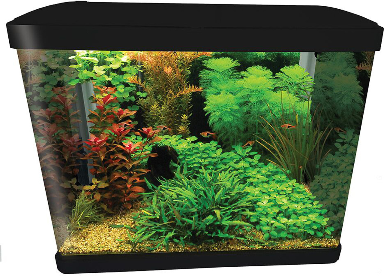 Aquatic Aqua One Aquarium Parts Lifestyle Series LifeStyle 52