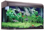 Aquatic Aqua One Aquarium Parts AquaStyle Series AquaStyle 980T