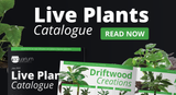 LIVE PLANTS CATALOGUE OUT NOW | New at ASP