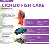 CARE GUIDE: Cichlid Fish Care