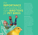 The Importance Of Providing The Right Bird Toys For Pet Birds