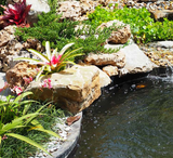 Essential Steps for Preparing Your Outdoor Pond for a Splendid Summer Season