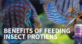 Bioscape - Benefits of Feeding Insect Proteins