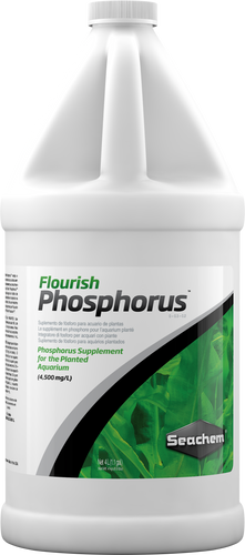 Seachem Flourish Phosphorus 4L (SC19903)