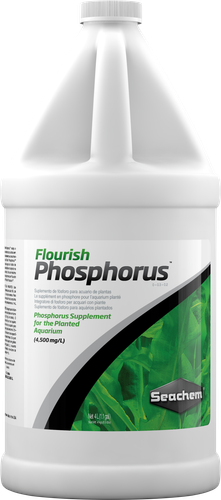 Seachem Flourish Phosphorus 4L (SC19903)