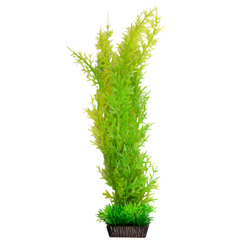 Aqua One Ecoscape Large Christmas Moss Green (28281)