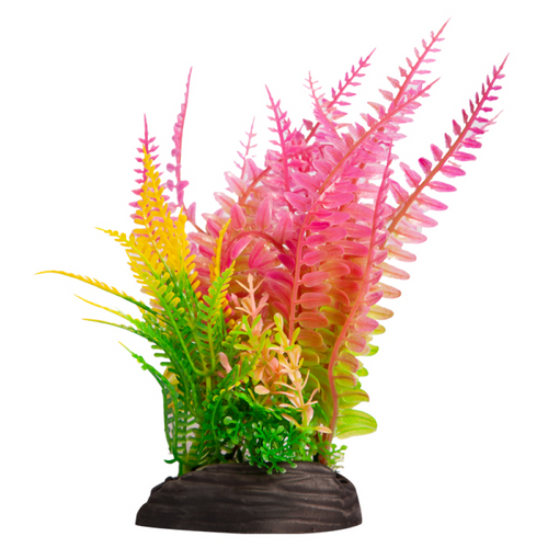 Aqua One Ecoscape Medium Liquorice Fern/Fern Pink (28257)