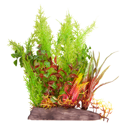 Aqua One Ecoscape Large Wide Christmas Moss Green/Hygro Red (28264)