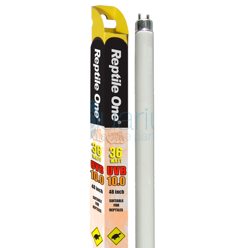 Reptile One 120cm Reflector Kit 2pk - Includes Single T8 36W w/ 10% Tube (46499-10K)