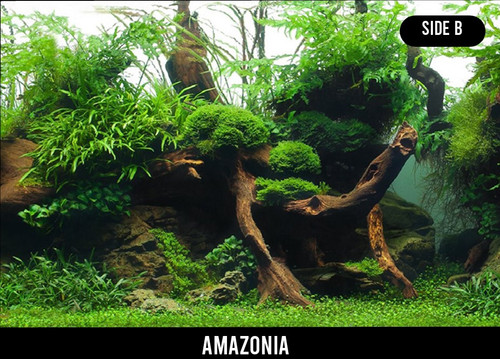 SeaView Greenspike/Amazonia Pre-Cut Background 45.7x94cm (SV02236)