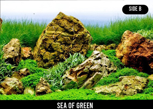 SeaView River Rock/Sea Of Green Background 60cm (Per Metre)  (SV01895A)