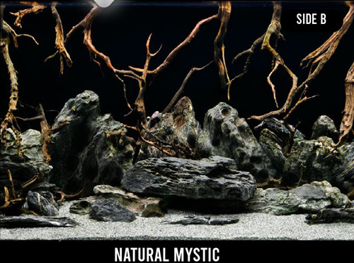 SeaView Seascape/Natural Mystic Pre-Cut Background 30.5x62cm (SV01123)