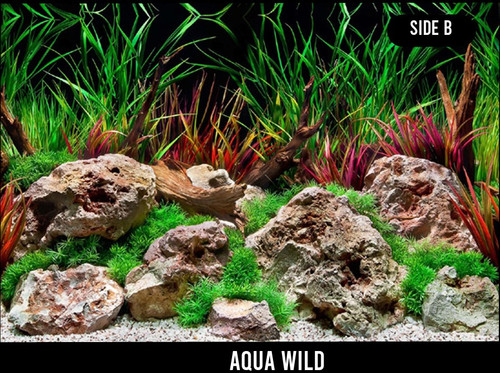 SeaView Slateways/Aqua Wild Pre-Cut Background 61x124.5cm (SV89707)