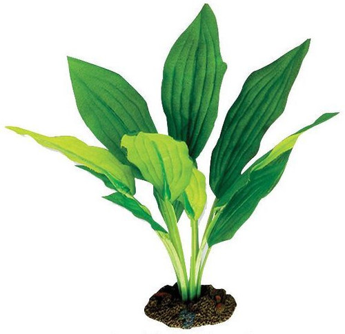 Aqua One Broad Leaf Amazon Silk Plant 20cm - Med (24114)