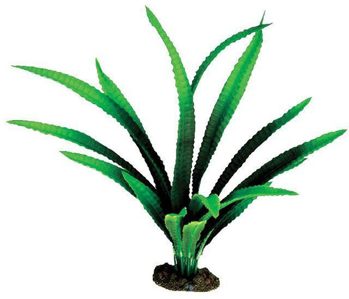Aqua One African Onion Silk Plant 30cm - Large (24126)