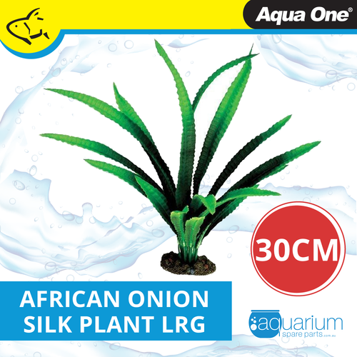 Aqua One African Onion Silk Plant 30cm - Large (24126)
