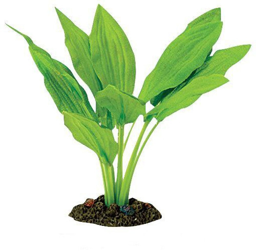 Aqua One Broad Leaf Amazon Silk Plant 13cm - Small (24104)