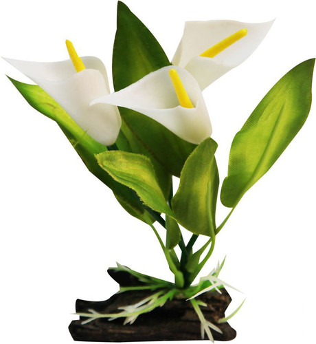 Aqua One Calla Lily W/Log Base Plastic Plant - Small (28184)