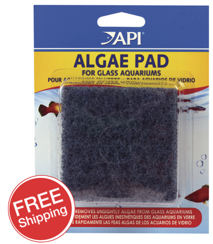 API Algae Pad for Glass Aquariums (24)