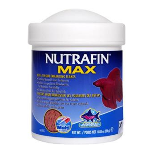 Nutrafin Betta Colour Enhancing Food 24gm (A6780)