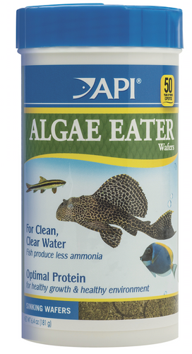API Algae Eater Wafers 181gm (840C)