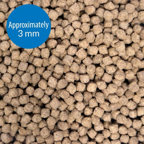 API Bottom Feeder Pellets with Squid 37gm (841A)