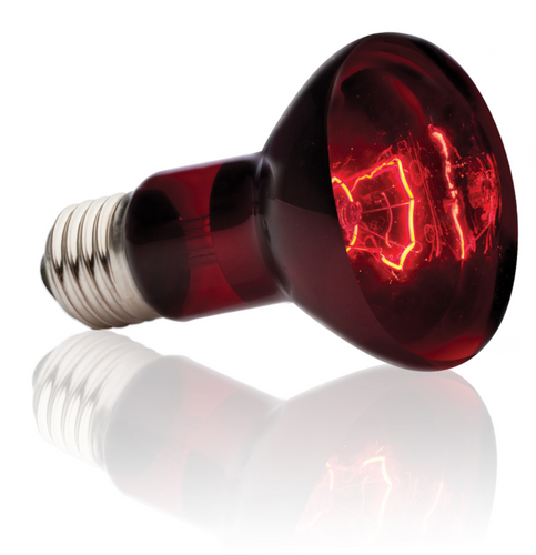 Exo Terra Heat Glo Infrared Heat Lamp - 50 Watt (PT2141)