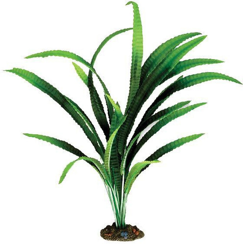 Aqua One African Onion Silk Plant 40cm - X-Large (24136)