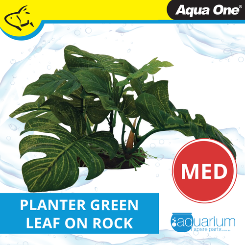 Aqua One Planter Plant Large Green Leaf On Rock - Med (28131M)