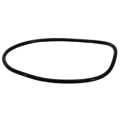 Fluval 105/205, 106/206 & 107/207 Motor Seal O-Ring (Gasket) (A-20038)