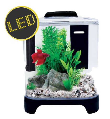 Aqua One Betta Haven LED Acrylic Aquarium 7L (56299)
