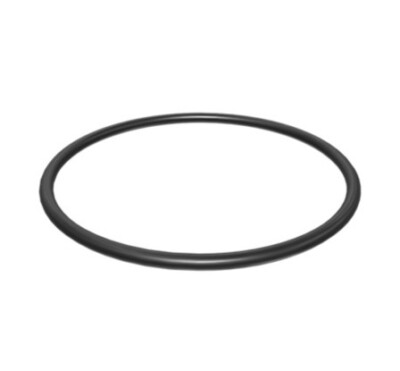 Fluval FX4 Motor Seal Ring (A-20211)