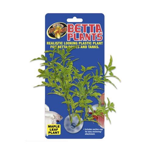 Zoo Med Betta Plants - Maple Leaf Plant (BP-24)