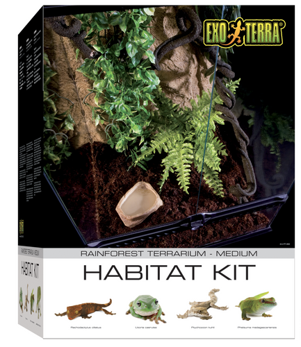 *LOCAL PICKUP* Exo Terra Terrarium Rainforest Habitat Kit Medium Tall (45x45x60)